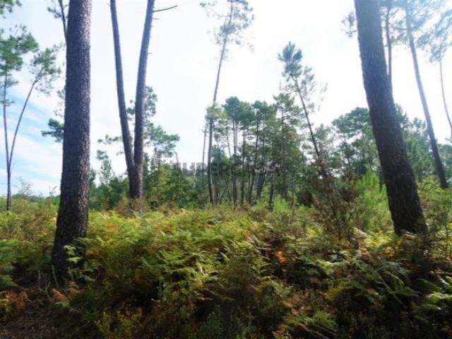 Terreno venda em Sobreiro, Monção