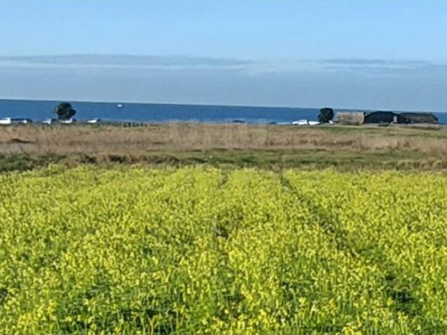 Terreno venda em Areosa, Viana Do Castelo