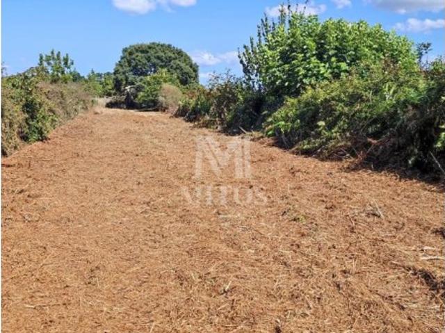 Terreno venda em Viana Do Castelo