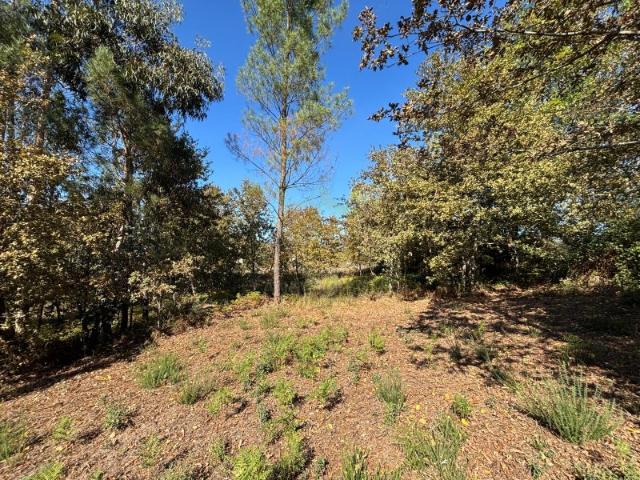 Terreno venda em Verim, Friande e Ajude, Póvoa de Lanhoso