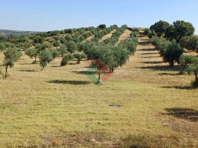 Terreno venda em Marvão, Portalegre