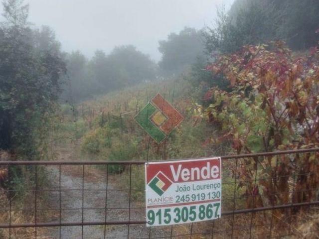 Terreno venda em Marvão, Portalegre