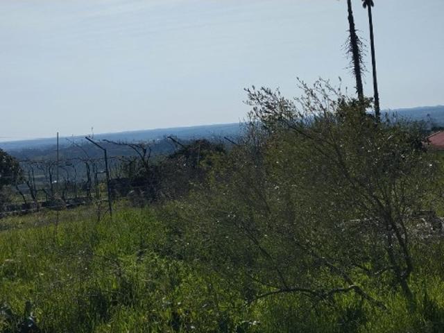 Terreno venda em Leiria