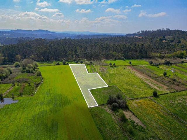 Terreno venda em Esposende, Braga