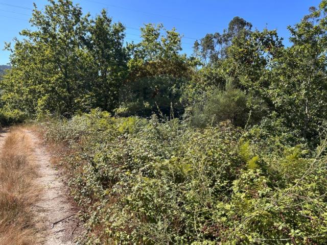 Terreno venda em Boalhosa, Viana Do Castelo