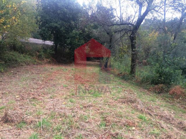 Terreno venda em Ribeira do Neiva, Vila Verde