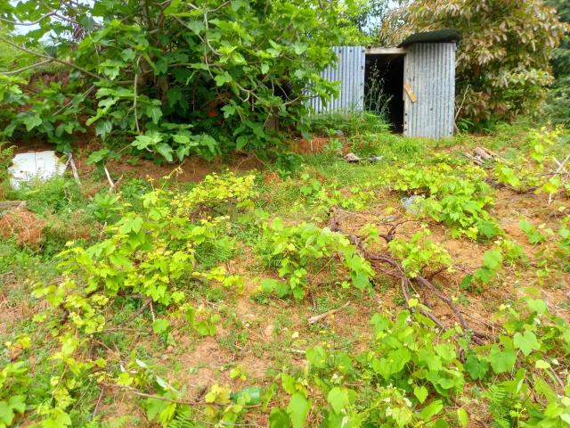 Terreno venda em Machico, Ilha Da Madeira