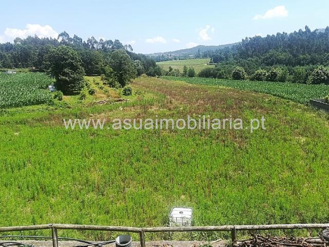 Terreno venda em Feira Nova, Amares