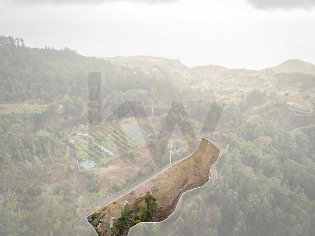 Terreno venda em Ponta Do Sol, Ilha Da Madeira