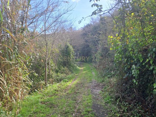Terreno venda em Cerradas, Sintra