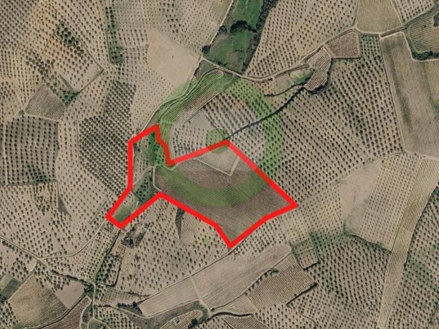 Terreno venda em Mirandela, Bragança