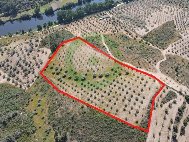 Terreno venda em Argeriz, Vila Real