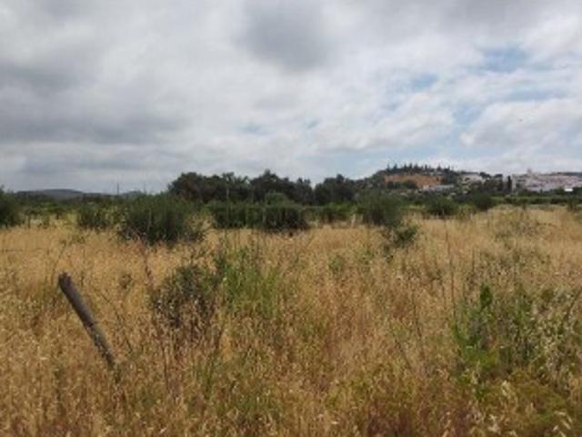 Terreno venda em Albufeira, Faro