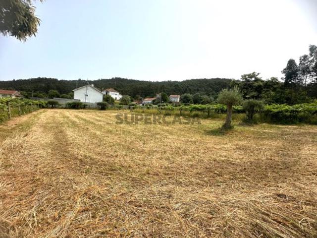 Terreno venda em Viana Do Castelo
