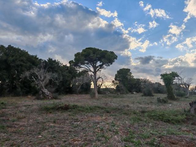 Terreno in vendita a Puglia, Lecce