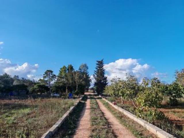 Terreno in vendita a Puglia, Lecce