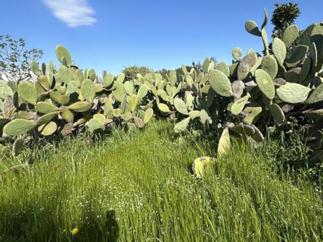 Terreno in vendita a Puglia, Taranto