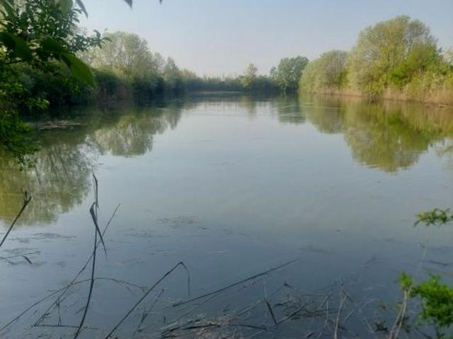 Terreno in vendita a Unione Alto Ferrarese, Bondeno