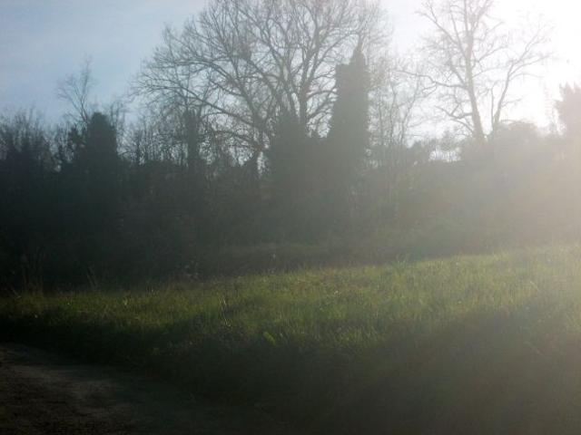 Terreno in vendita a Boville Ernica, Lazio