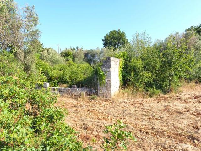 Terreno in vendita a Puglia, Brindisi