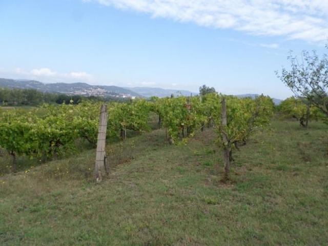 Terreno in vendita a Magione, Umbria