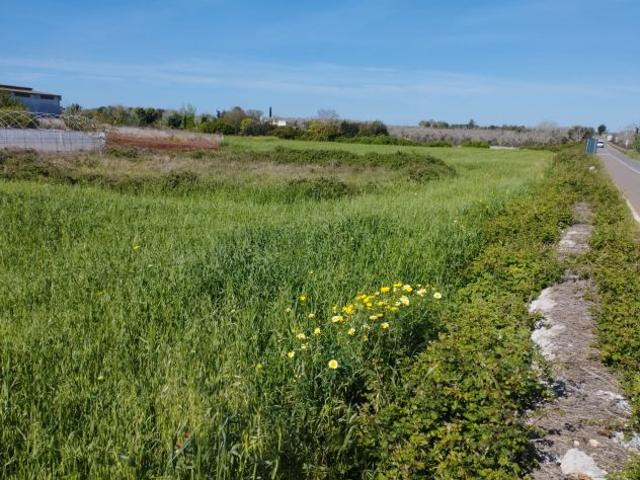 Terreno in vendita a Puglia, Lecce