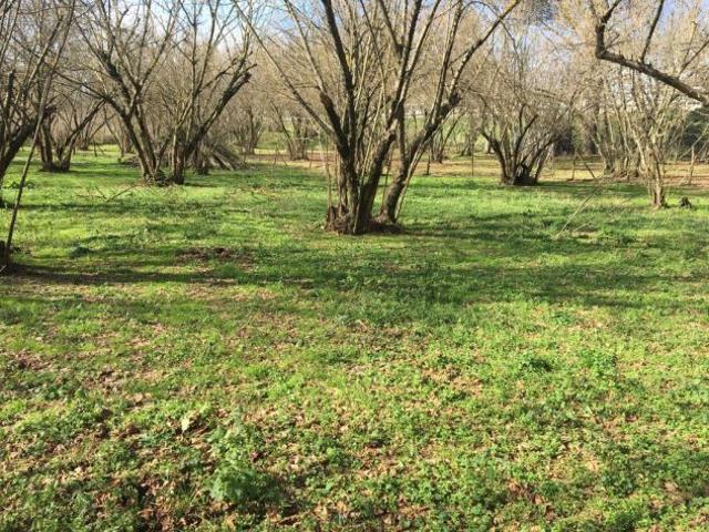 Terreno in vendita a Montefredane, Campania