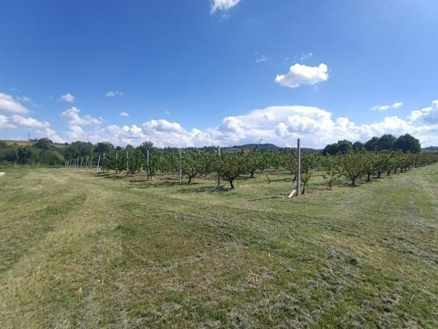Terreno in vendita a Unione dei comuni Valli del Reno, Lavino e Samoggia, Reggio Emilia