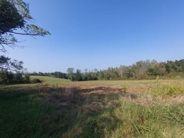 Terreno in vendita a Piemonte, Alessandria