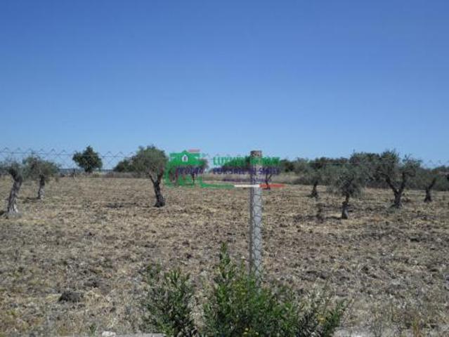 Terreno in vendita a Chiaramonte Gulfi, Sicilia