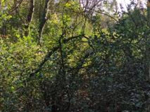 Terreno in vendita a Manerba Del Garda, Lombardia