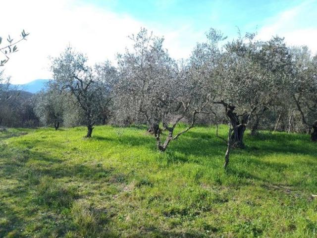 Terreno in vendita a Santa Maria a Monte, Pisa