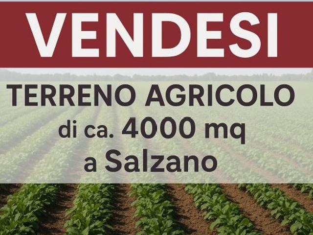 Terreno in vendita a Salzano, Veneto