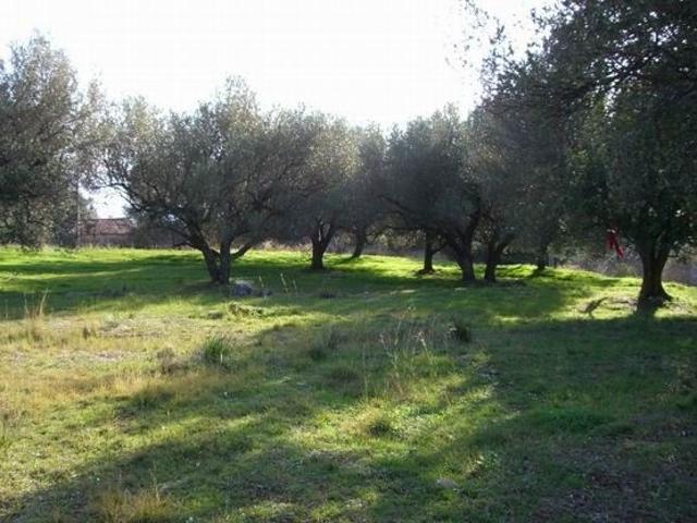 Terreno in vendita a Auletta, Campania