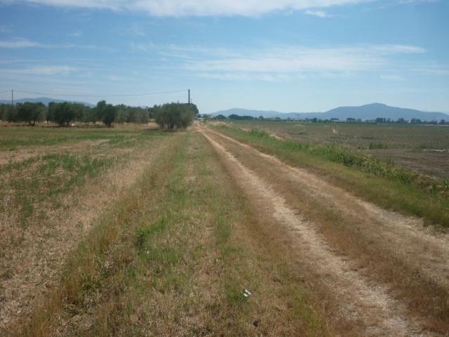 Terreno in vendita a Monte Argentario, Toscana