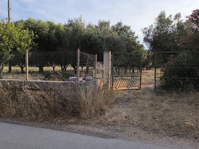 Terreno in vendita a Puglia, Brindisi