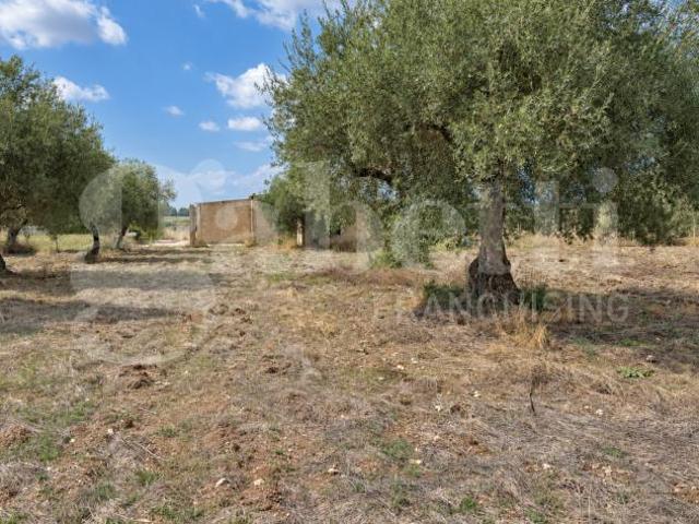 Box in vendita a Chiaramonte Gulfi, Ragusa