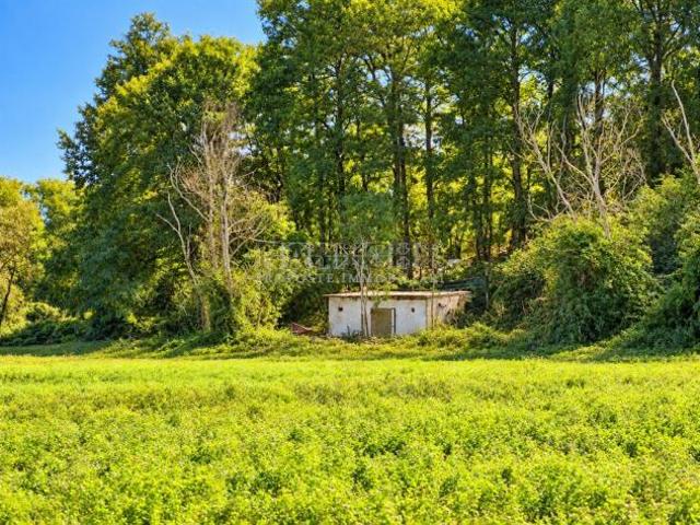 Terreno in vendita a Rapolano Terme, Siena