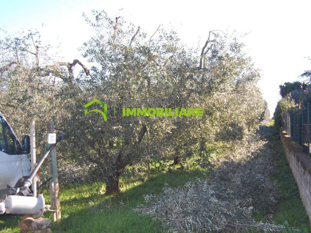 Terreno in vendita a Contrada Soleluna, Roma Capitale