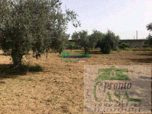 Terreno in vendita a Comiso, Sicilia