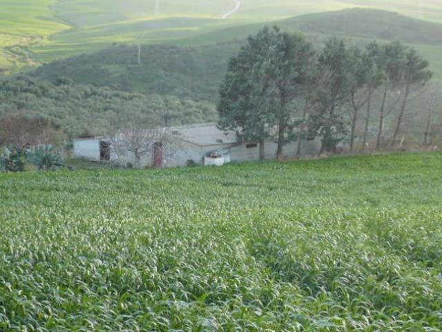 Terreno in vendita a Termini Imerese, Palermo