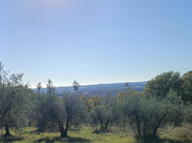 Terreno in vendita a Baschi, Umbria