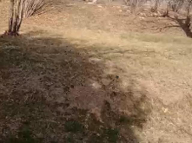 Terreno in vendita a Piemonte, Torino
