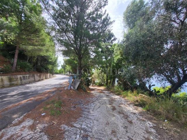 Terreno in vendita a San Mauro Cilento, Campania
