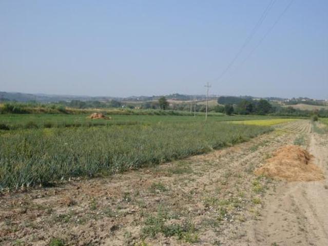 Terreno in vendita a Unione dei Comuni Circondario dell'Empolese Valdelsa, Castelfiorentino