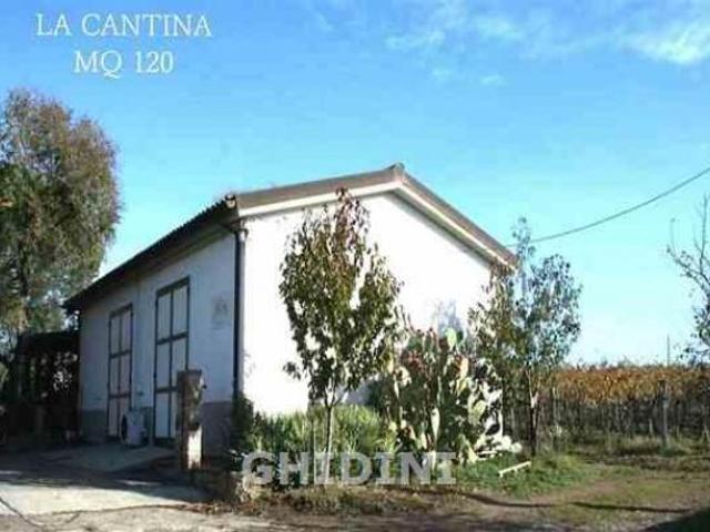 Terreno in vendita a Roccastrada, Toscana