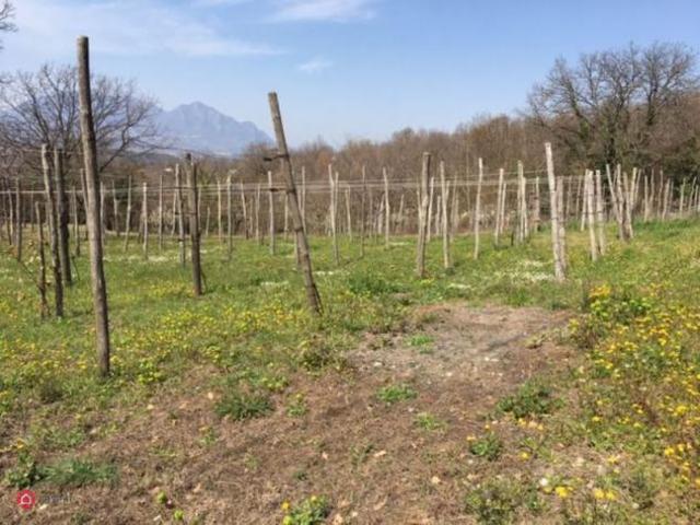 Terreno in vendita a Manocalzati, Campania