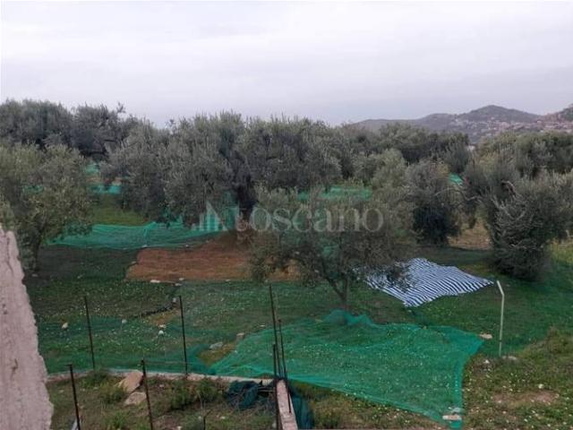 Terreno in vendita a Motta San Giovanni, Reggio Calabria