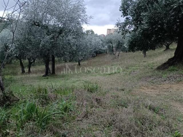 Terreno in vendita a Siena, Toscana