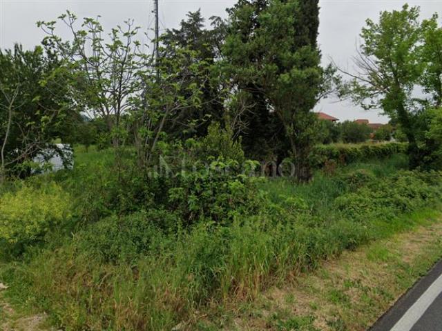 Terreno in vendita a Sermoneta, Lazio